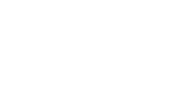 Globalliance Services